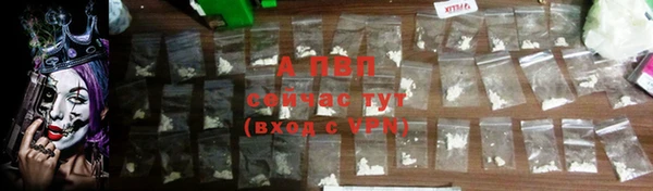 ALPHA-PVP Бородино