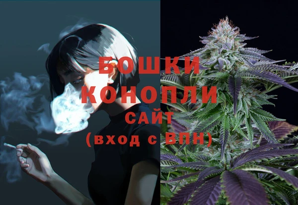 Альфа ПВП Бугульма