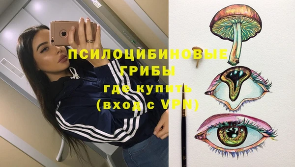 Альфа ПВП Бугульма