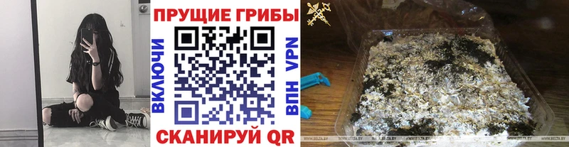 Галлюциногенные грибы MAGIC MUSHROOMS  Электрогорск 
